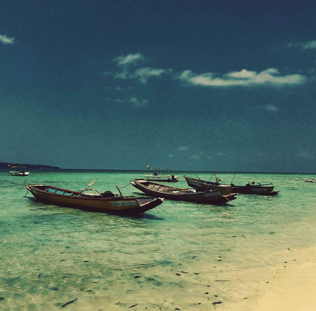 elephant beach andaman